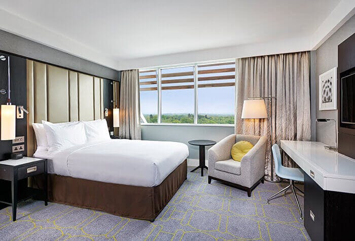 Single Room at the Hilton