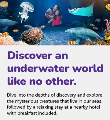 SEA LIFE London Aquarium with Hotel