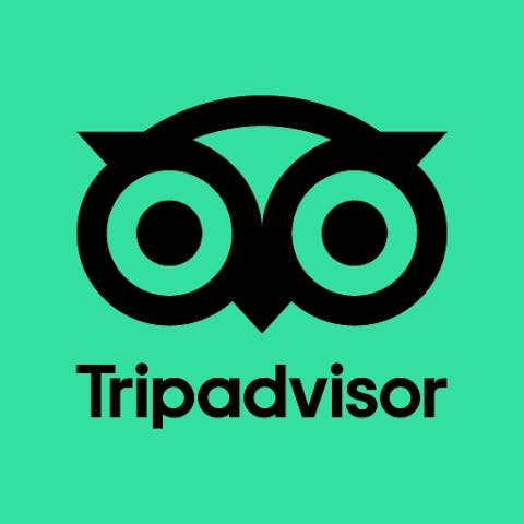 Tripadvisor App Logo