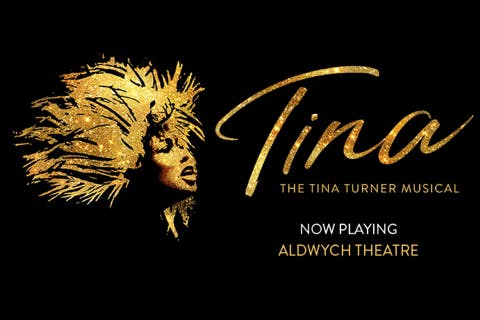 Tina the Tina Turner Musical