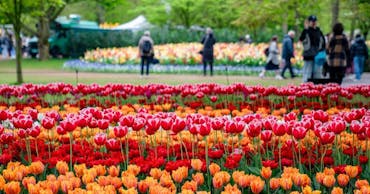 Where to go in April: best holiday spots for sun and city breaks