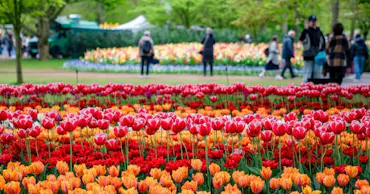 Where to go in April: best holiday spots for sun and city breaks