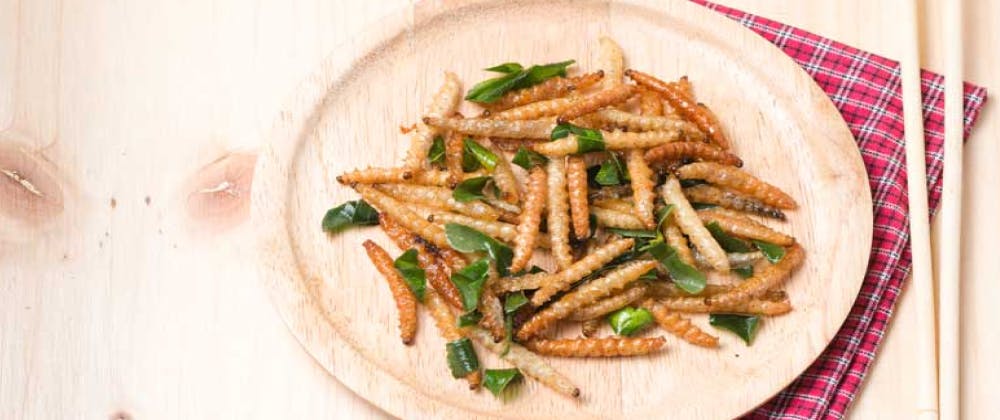 Fried caterpillars, South African Christmas dish