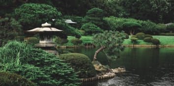 Top things to do in Tokyo | Shinjuku Gyoen National Garden