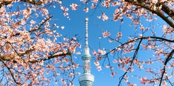Top things to do in Tokyo | Toyko Skytree