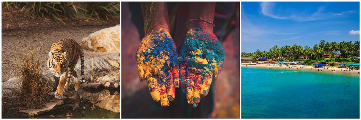 A collage showing a Bengal tiger by water, colourful paint-covered hands from an Indian festival, and a tropical beach, illustrating the diverse experiences travellers may explore when arranging travel insurance for India.