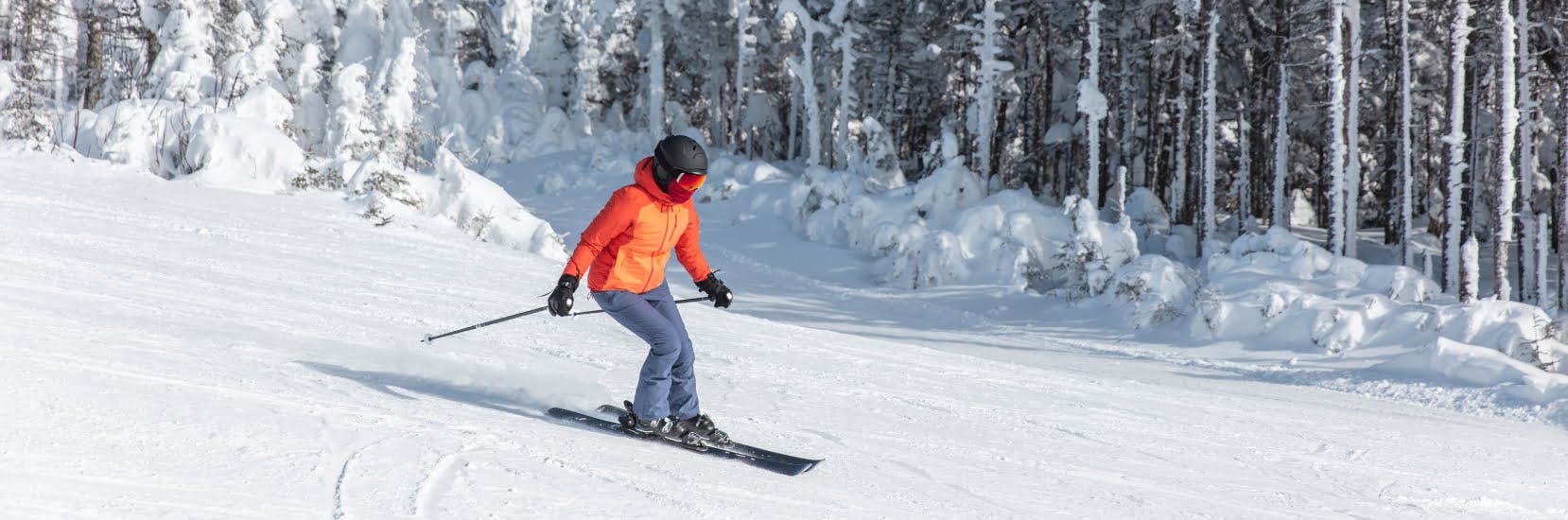 Person skiing down a snowy mountain slope surrounded by snow-covered trees on a bright winter day, highlighting the benefit of winter sports insurance