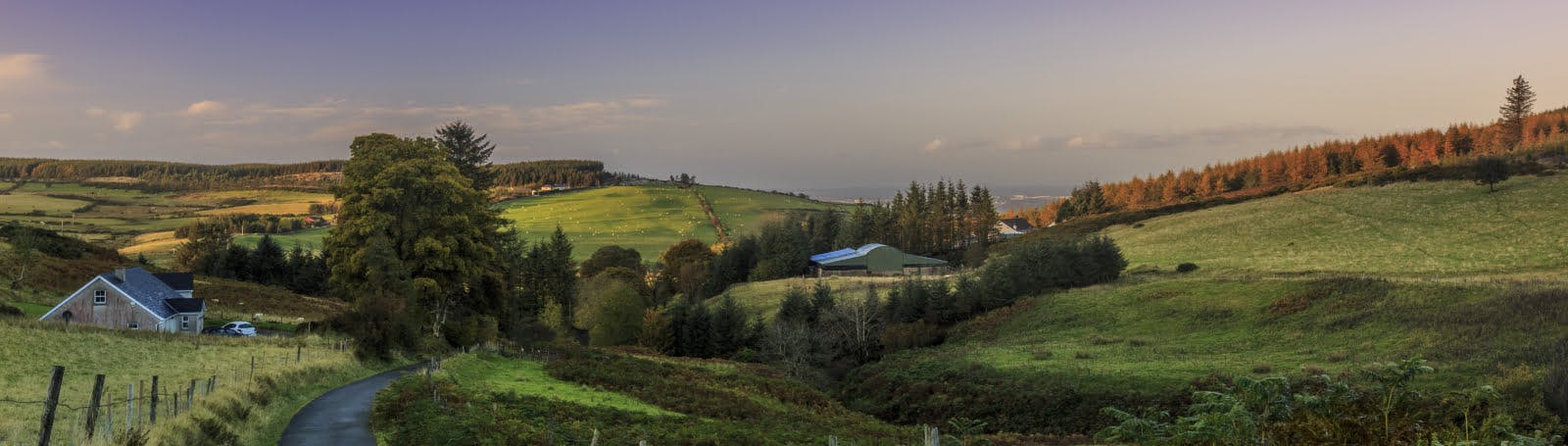 Peaceful Irish countryside with rolling green hills, farms and winding road, representing scenic journeys covered by travel insurance for Ireland.