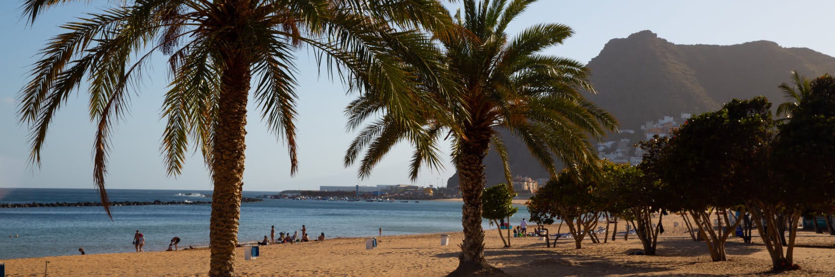 Golden sand beach lined with palm trees in Tenerife, Spain, with clear blue sea and mountains in the background – a perfect destination for sun-seekers exploring travel insurance for Tenerife holidays.