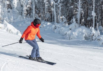 A skier in an orange jacket descending a snowy slope surrounded by pine trees, illustrating winter sports travel.