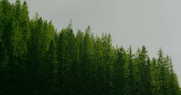 Five years of Good Trips