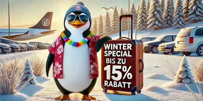 Banner Airparks Winterspecial