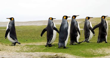 Flextras: Umbuchbar, änderbar und Storno ohne Gebühren