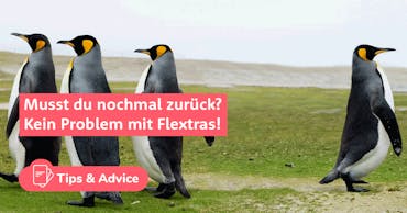 Flextras: Umbuchbar, &auml;nderbar und Storno ohne Geb&uuml;hren