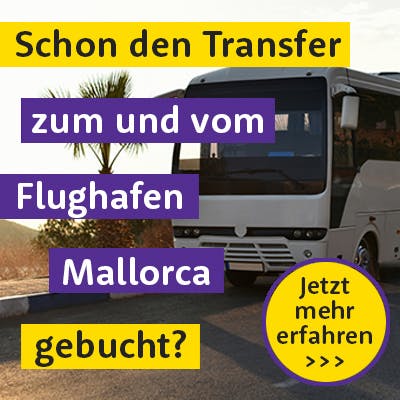 Transfer vom Flughafen Mallorca buchen