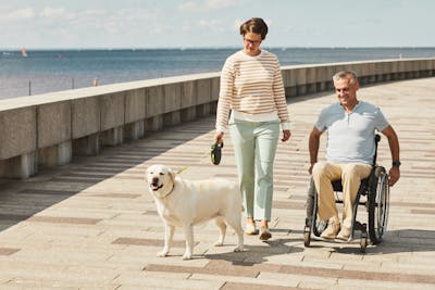 Frau und Mann im Rollstuhl machen einen Ausflug am Meer mit ihrem Hund.