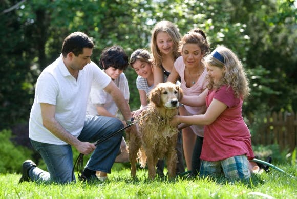 Golden retriever with family of six