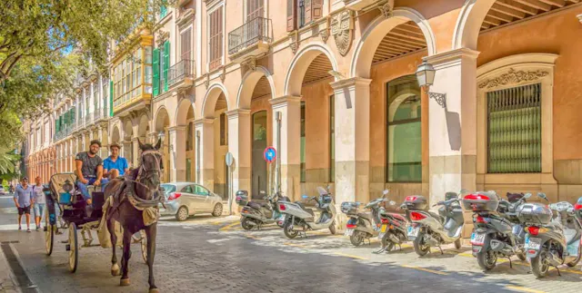 Palma street