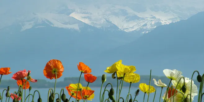 Geneva mountains