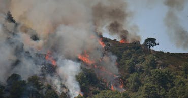 Wildfires in France and Spain: what UK holidaymakers need to know
